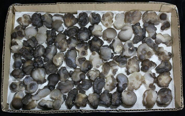 Natural Chalcedony Nodules (Wholesale Lot) - Pieces #61820